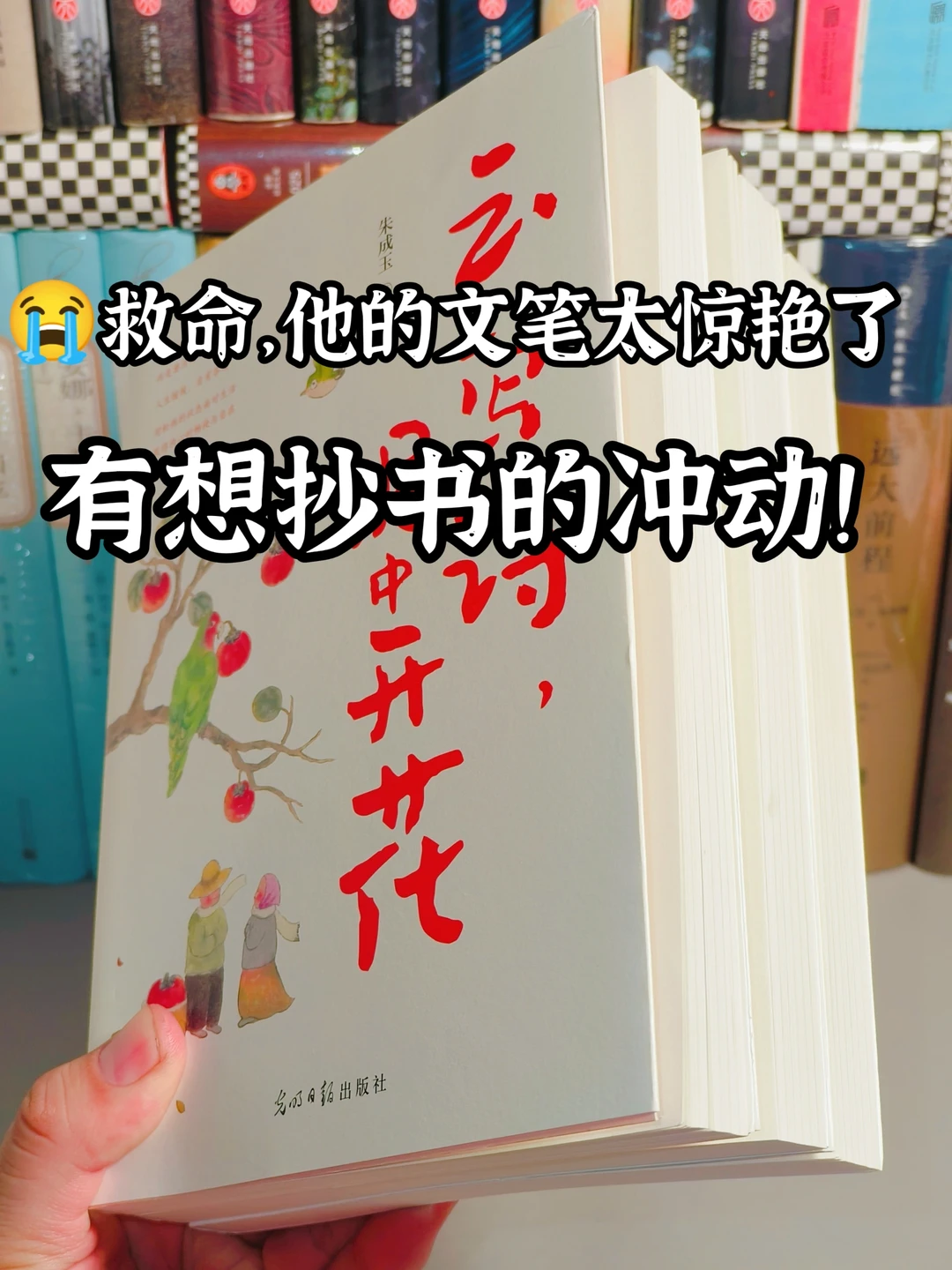 美到无法呼吸！一万次惊叹于美到心颤的文笔