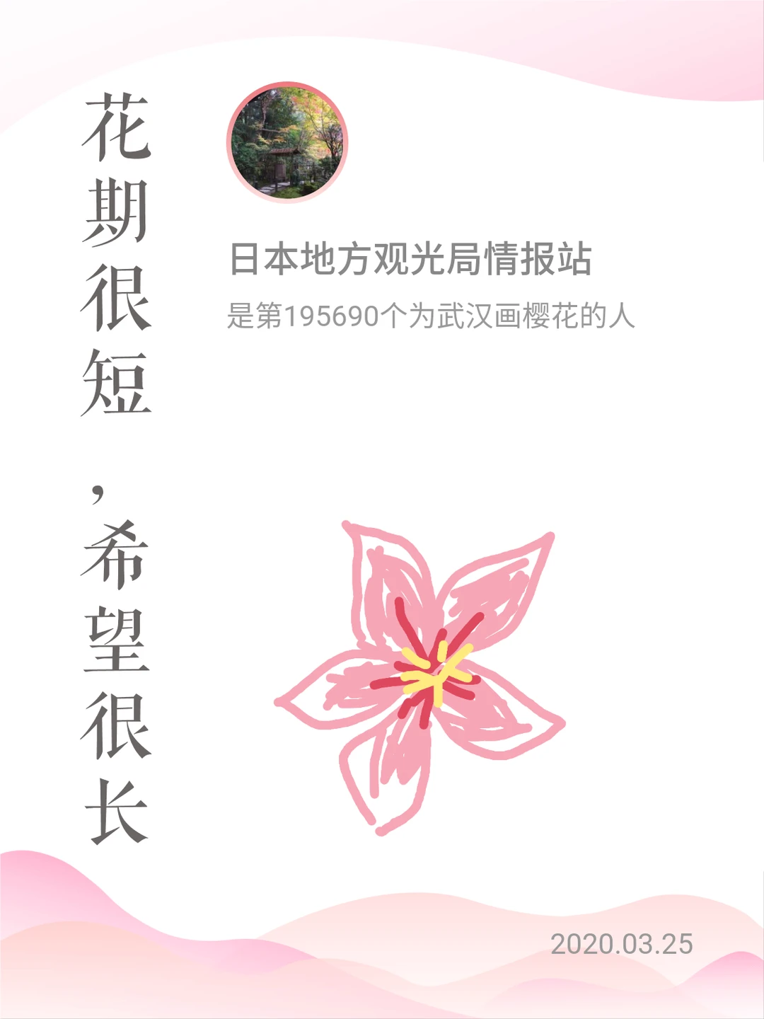 春天到了，武汉的樱花开了~