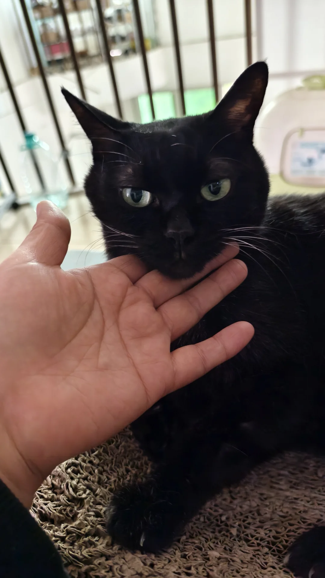 每次想到差点失去他，我就稀罕他稀罕的不行