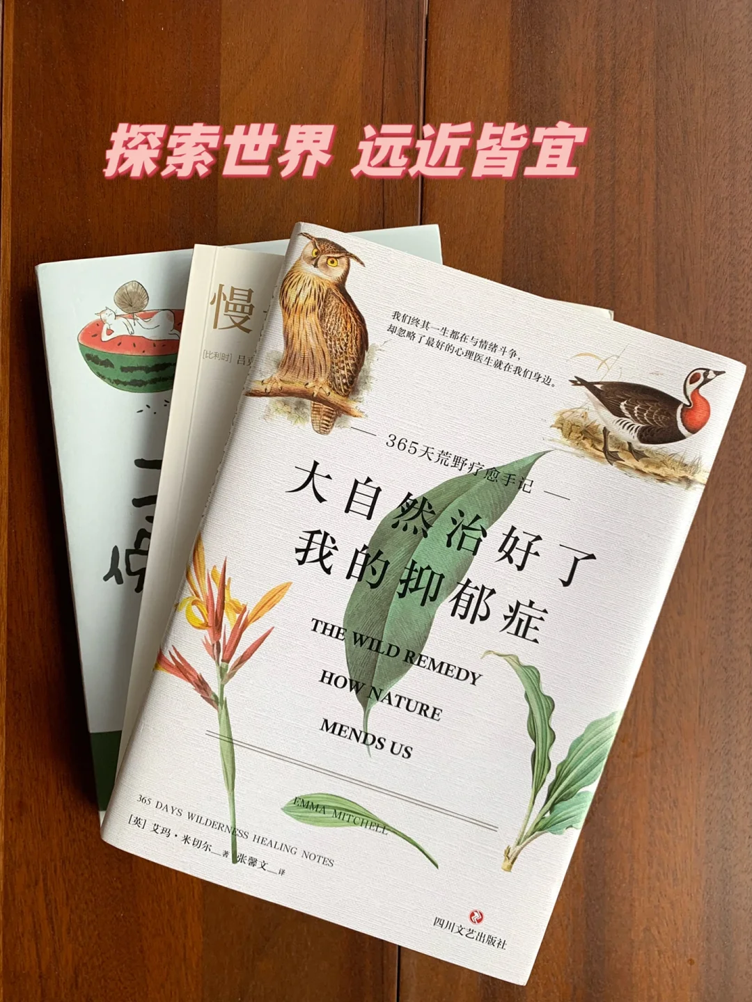 像房琪一样去探索世界吧，远近皆宜，直到……