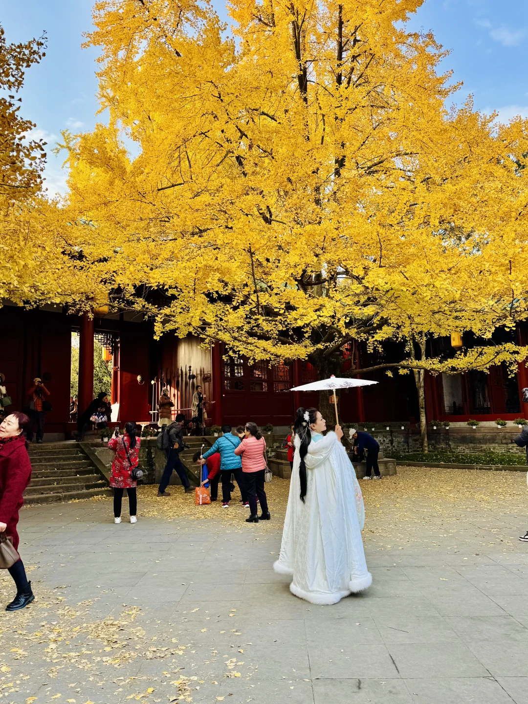 听说赵露思去了罨画池！！！！