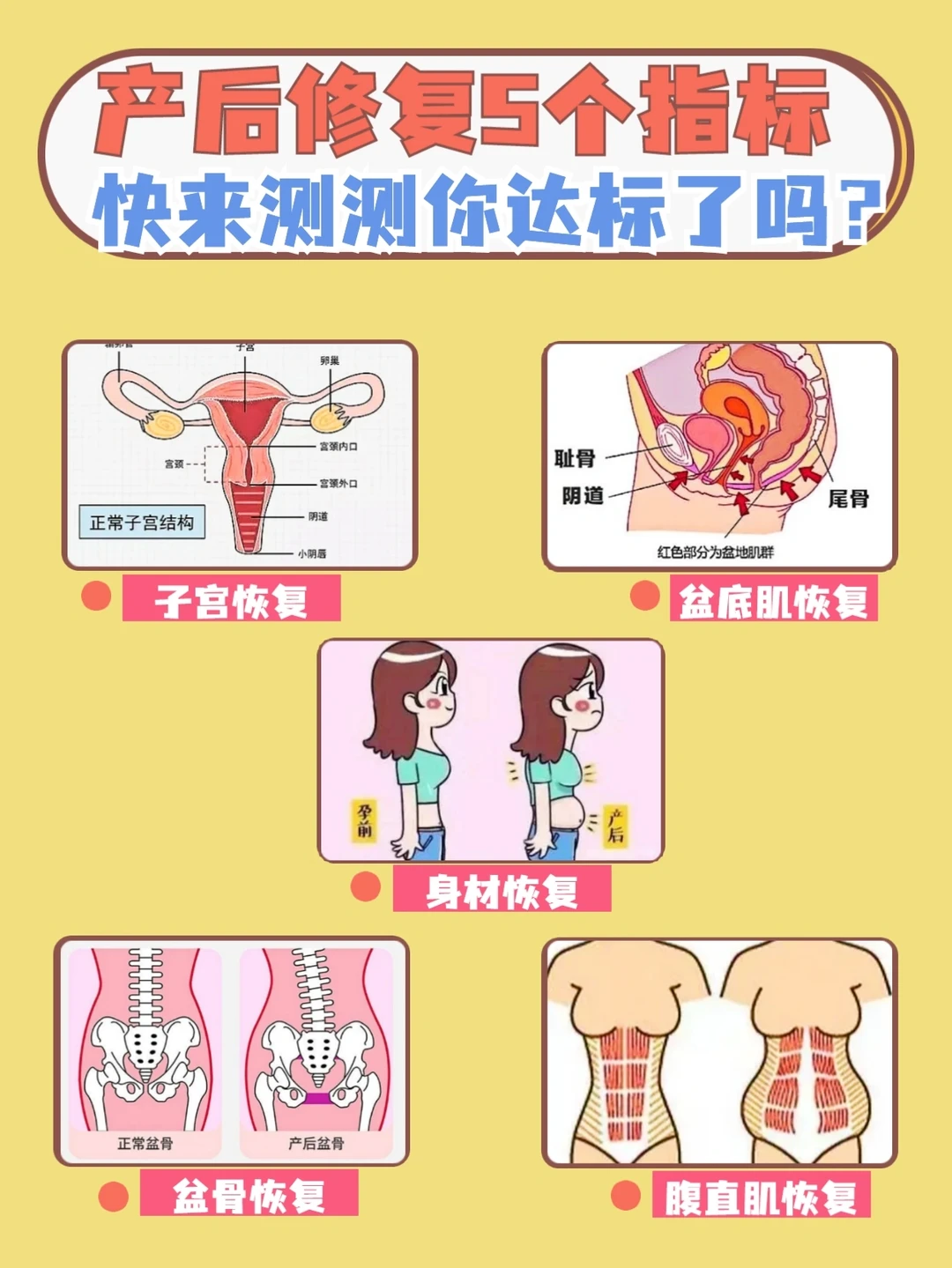 产后修复5个指标🔥产后运动和修复时间表