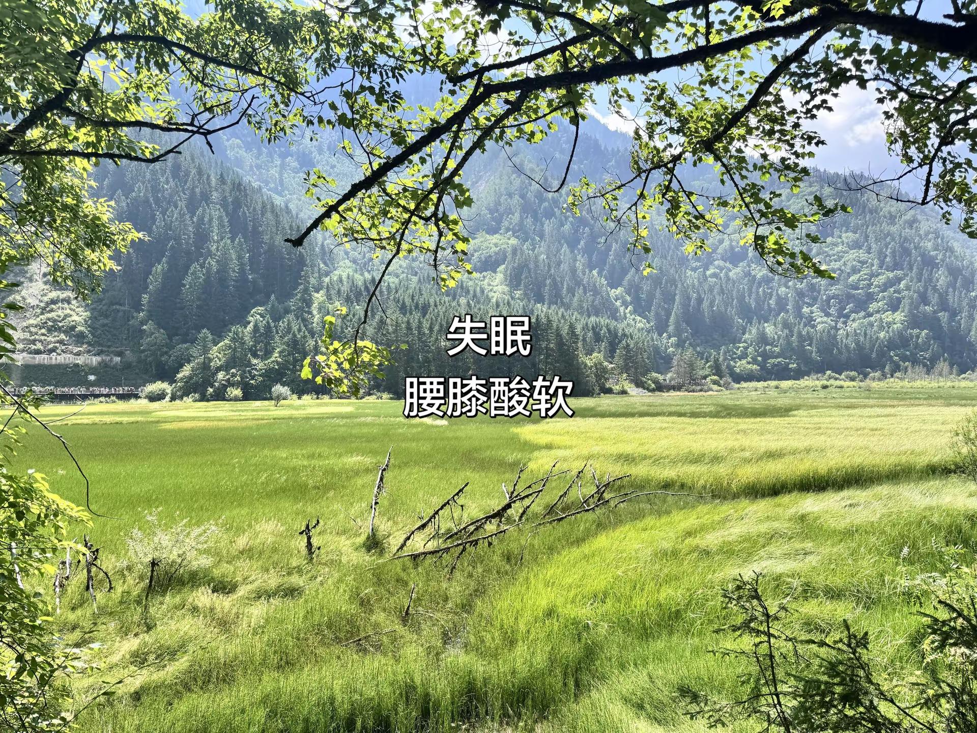 足球。上海申花0‑3北京国安，国安拿下四连胜冲到积分榜第二；申花新帅首秀惨败，进攻射门多却全部无法转化进球。