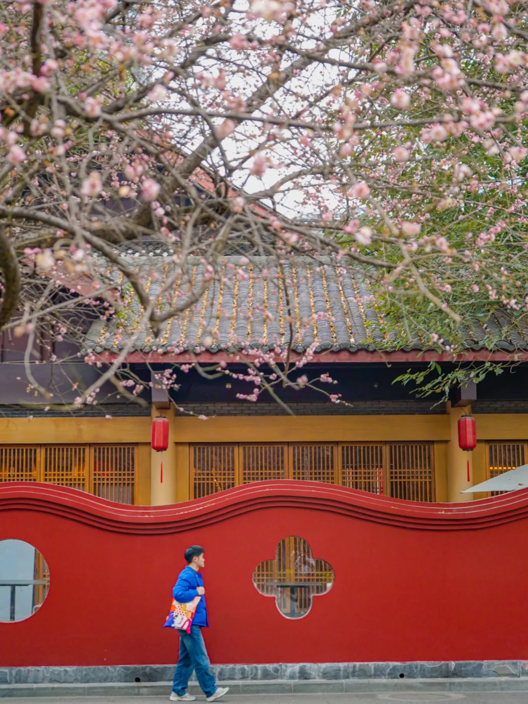 成都适合一个人闲逛的100个地方（45/100）