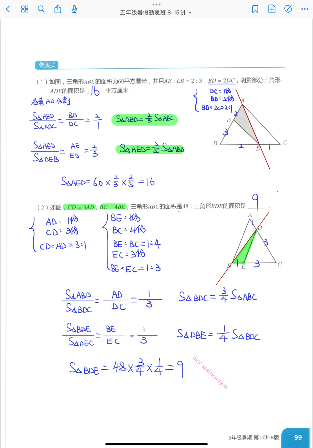 等高模型 五年级暑假奥数课堂笔记