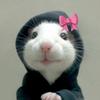 晓睿用小姐姐