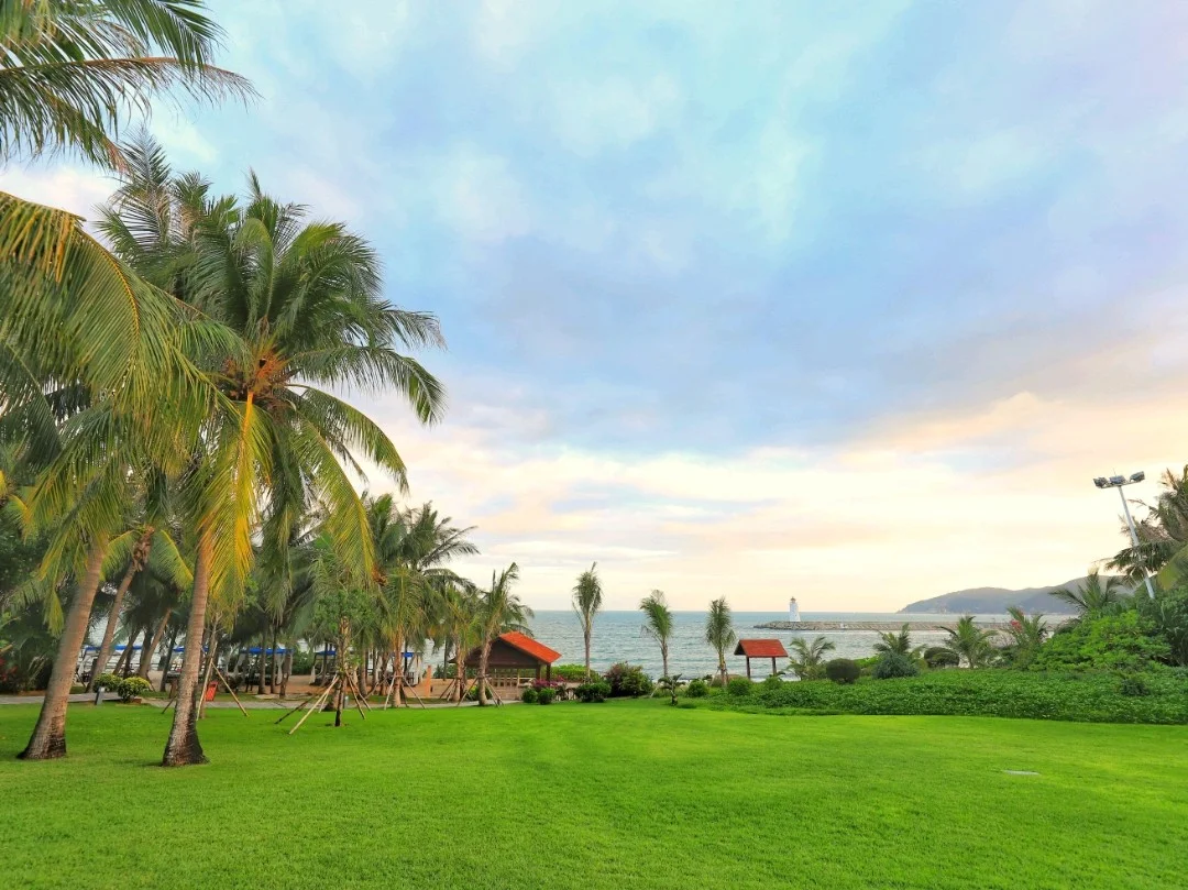 这次来三亚入住的是三亚的网红酒店三亚瑞吉度假酒店 ！服务真心特别的好，办理入住之