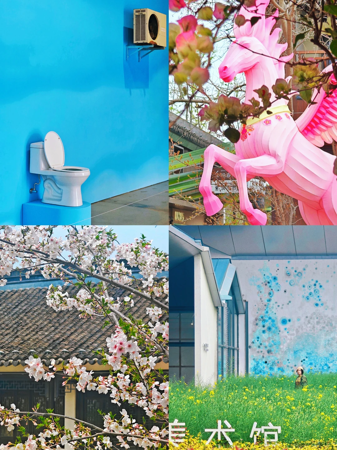 蟠龙天地Color Walk|赴一场花与艺术的约会