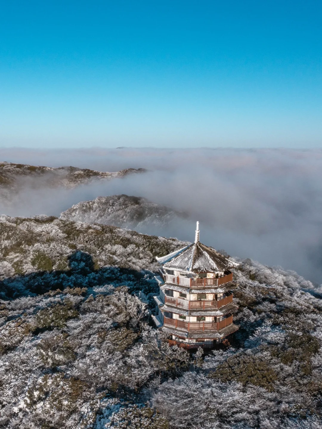 被惊艳到了⚠️重庆金佛山还能这么玩⁉️
