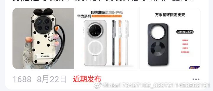 手机壳，梅尼耶，脑膜纯白。找到 ​