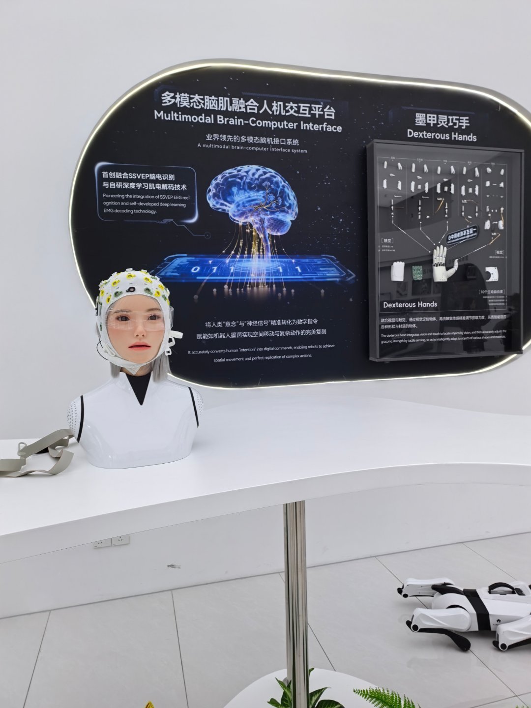 上午参加完大会下午紧跟着就是的墨甲厂区参观，

现在的机器人做的是真的牛，在展厅里面放着的就有好几种，陪伴类的、交通指挥的和接待的，我感觉以后的服务业说不定真的要大批量的引进机器人了。

而且上午发布会的时候就已经拿出来了紫微芯片还有CheryMind大模型，说是让汽车懂物理世界，但是如果换 ​