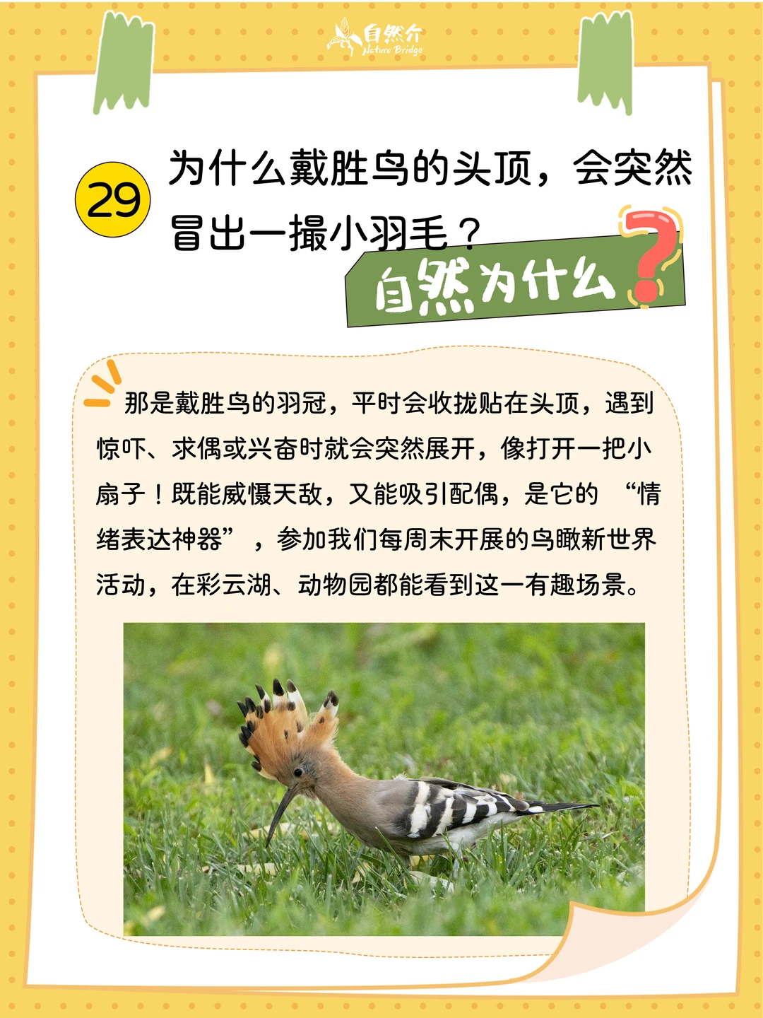 自然为什么｜神奇动物有话说②⑨