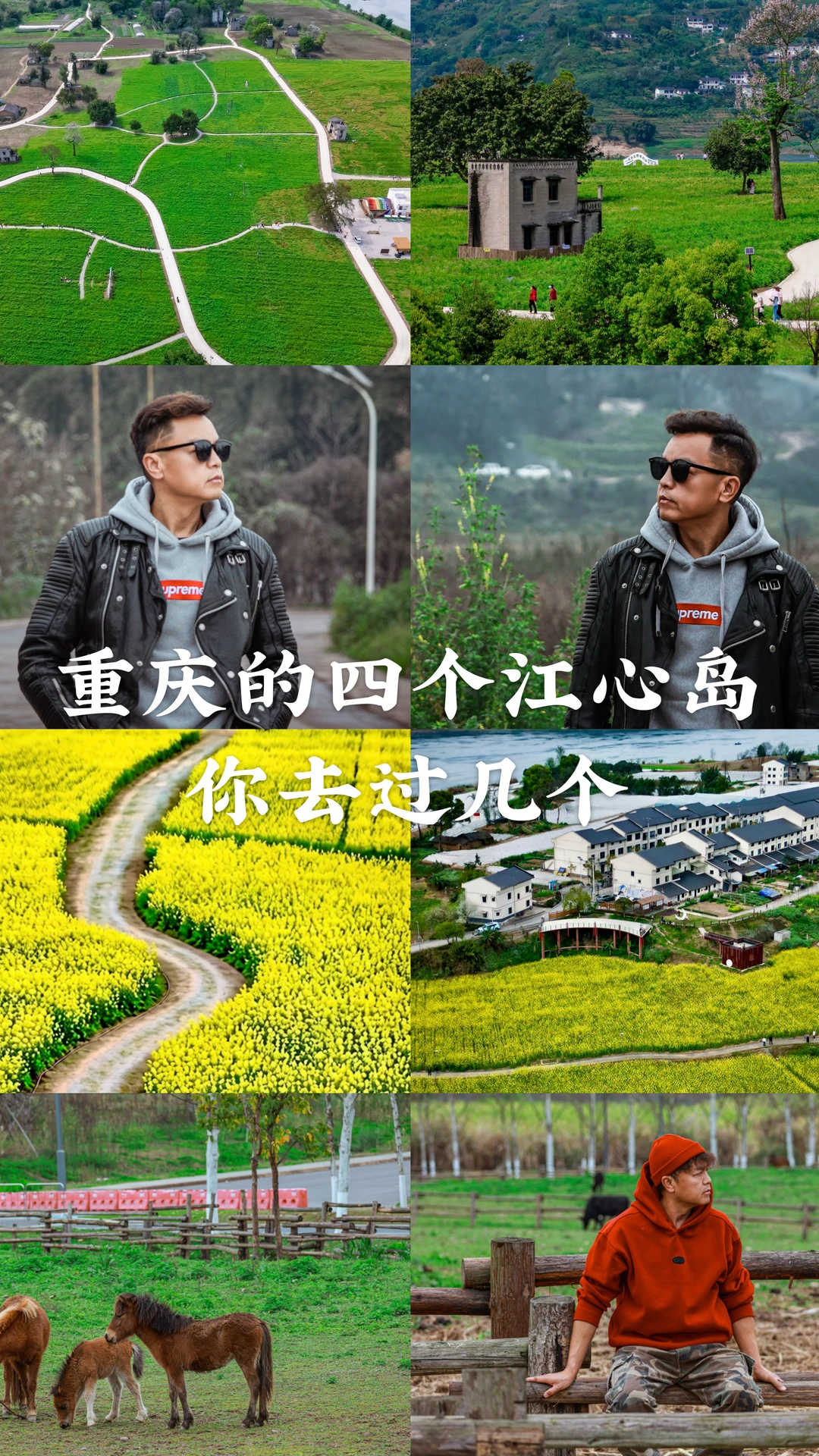 重庆四大江心岛游玩攻略指南 🌈‼️✅广