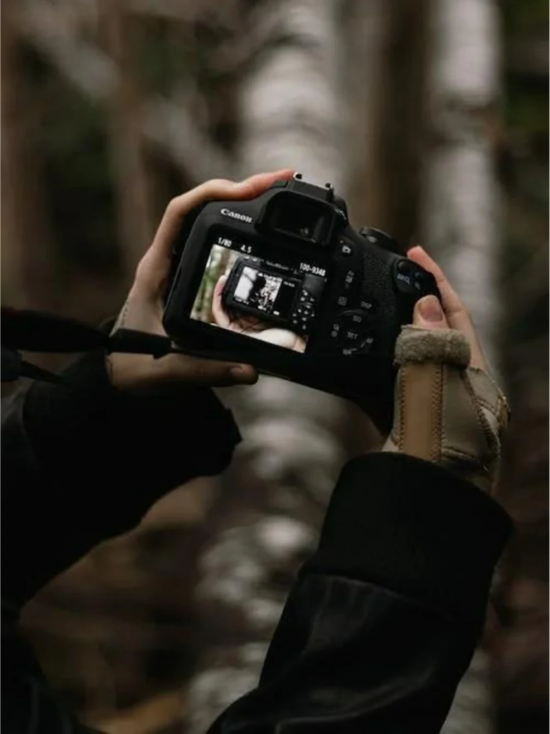 留下你的相机型号，教你拍出好看的照片📸