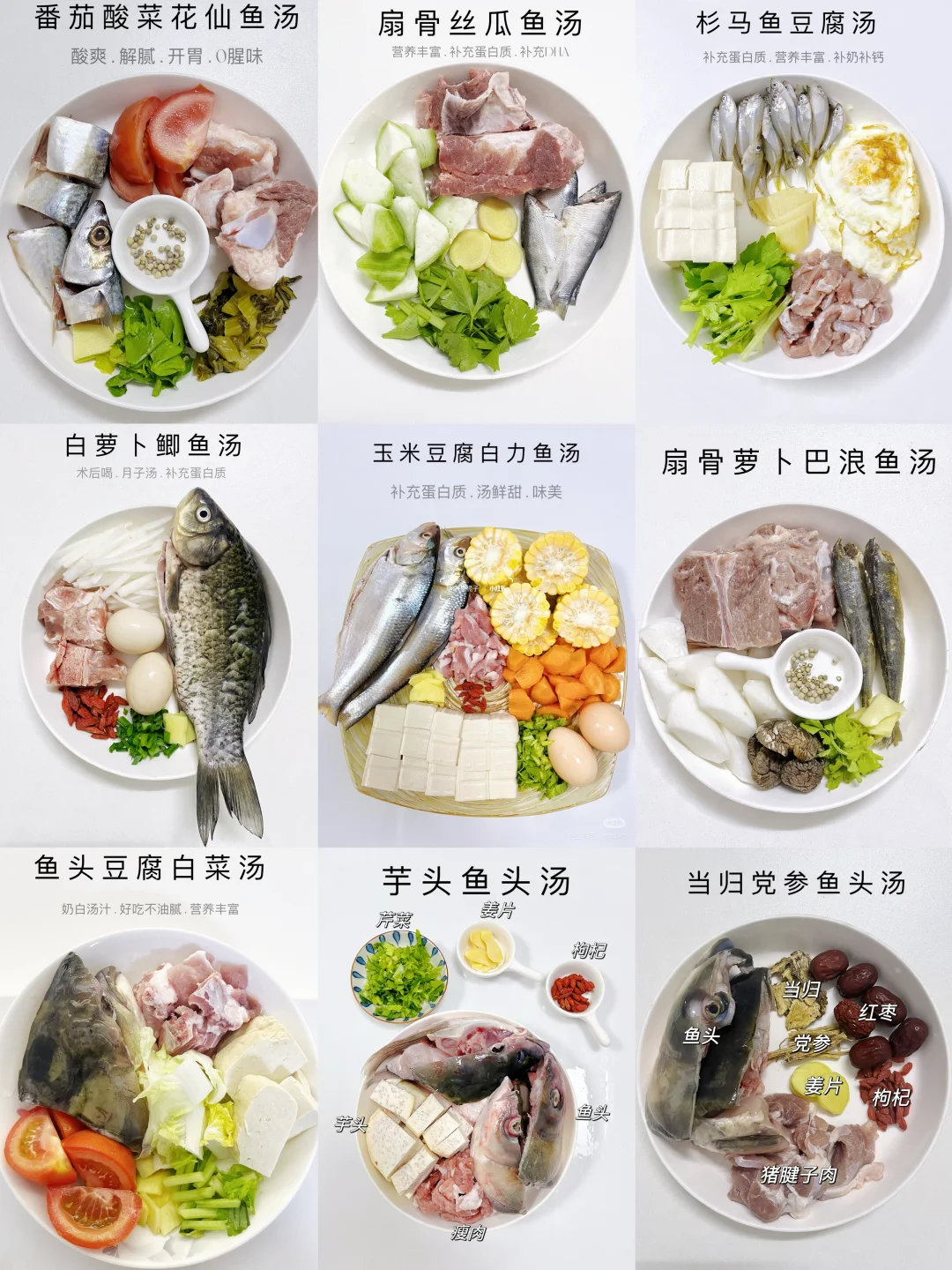 9款家常鱼汤做法合集｜营养丰富，简单易学