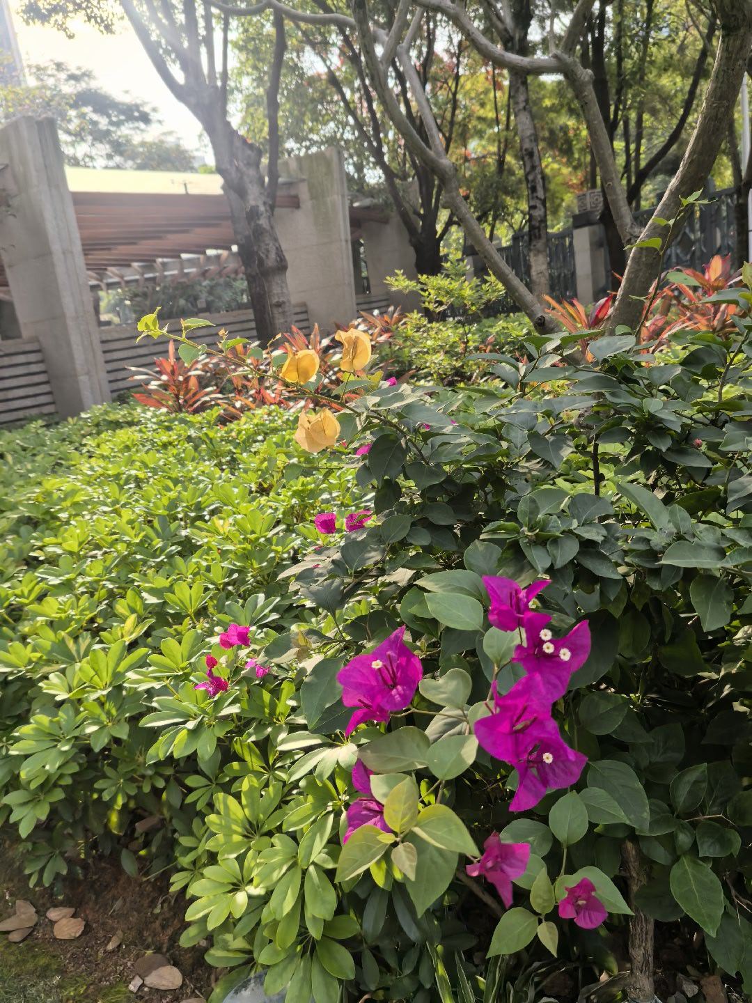 昨天跟大佬说，感觉花花草草挺可爱的，每天跟它们聊聊天，还稍微触摸一下...