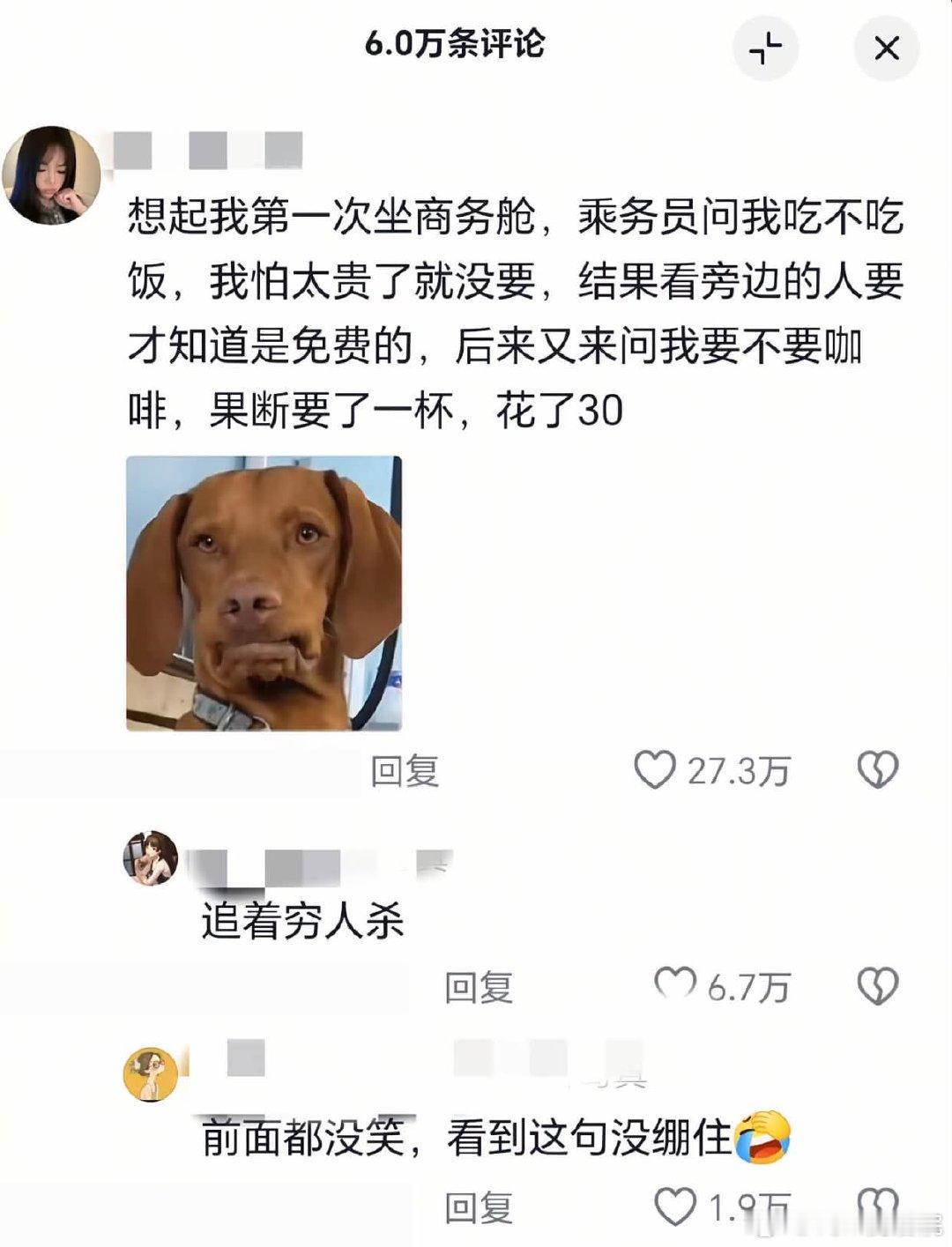努力拓宽眼界中 ​​​