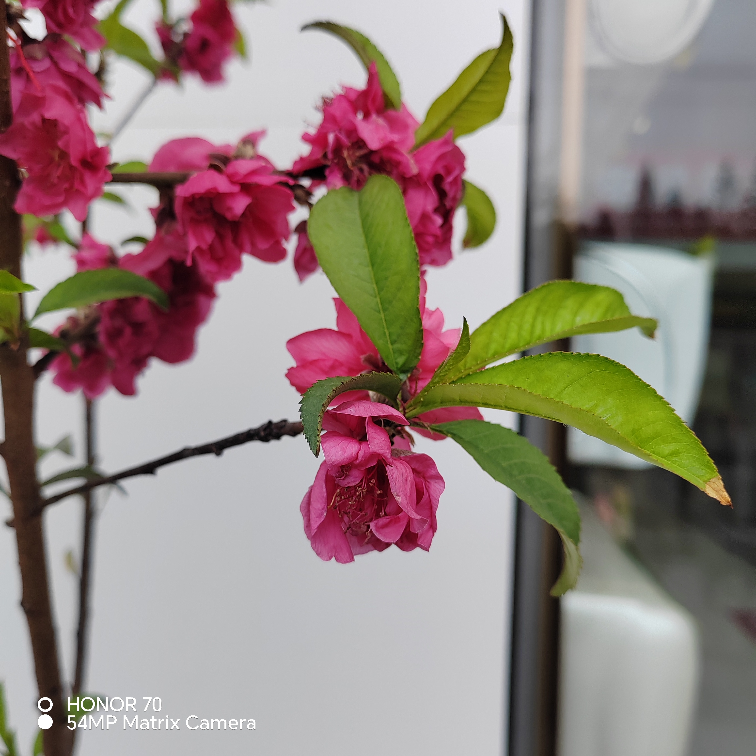 爱他却总在争吵，为何沟通总是失效？三步教你化解两性间所有矛盾  你有没...