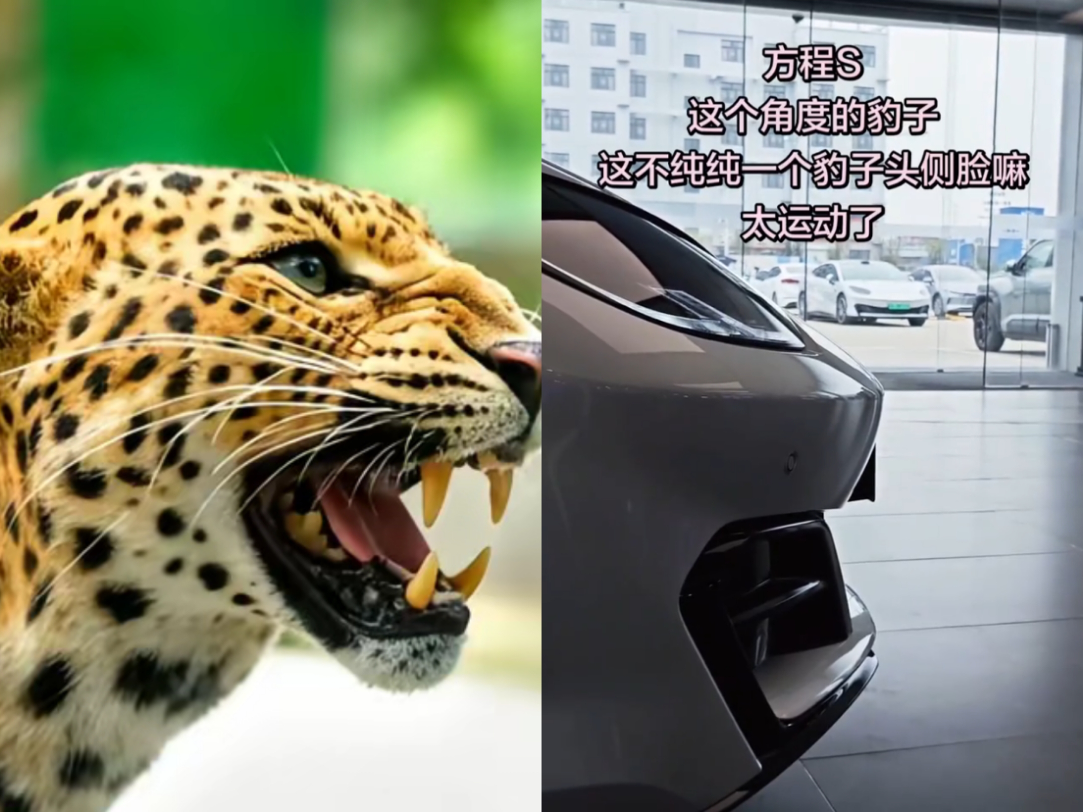 仔细看，方程S这个角度像不像一个豹子头[震惊][震惊][震惊]
设计师：还真是[看][看][看]
方程S为什么不叫方程豹S，这样更像豹子了。
不得不说，网友真会找角度，一旦接受了这种设定，就回不去了。
这样仔细看，方程S这个角度真的像一只豹子，比亚迪你是故意不说还是你自己也不知道[泣不成声]
比亚迪