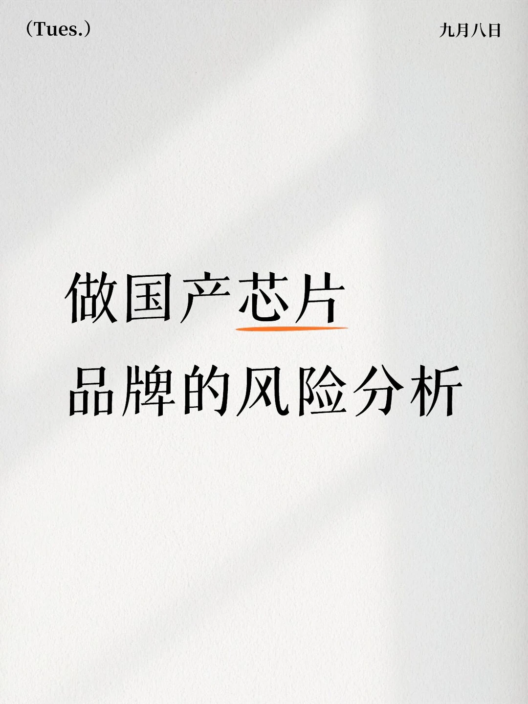 国产芯片品牌的风险分析