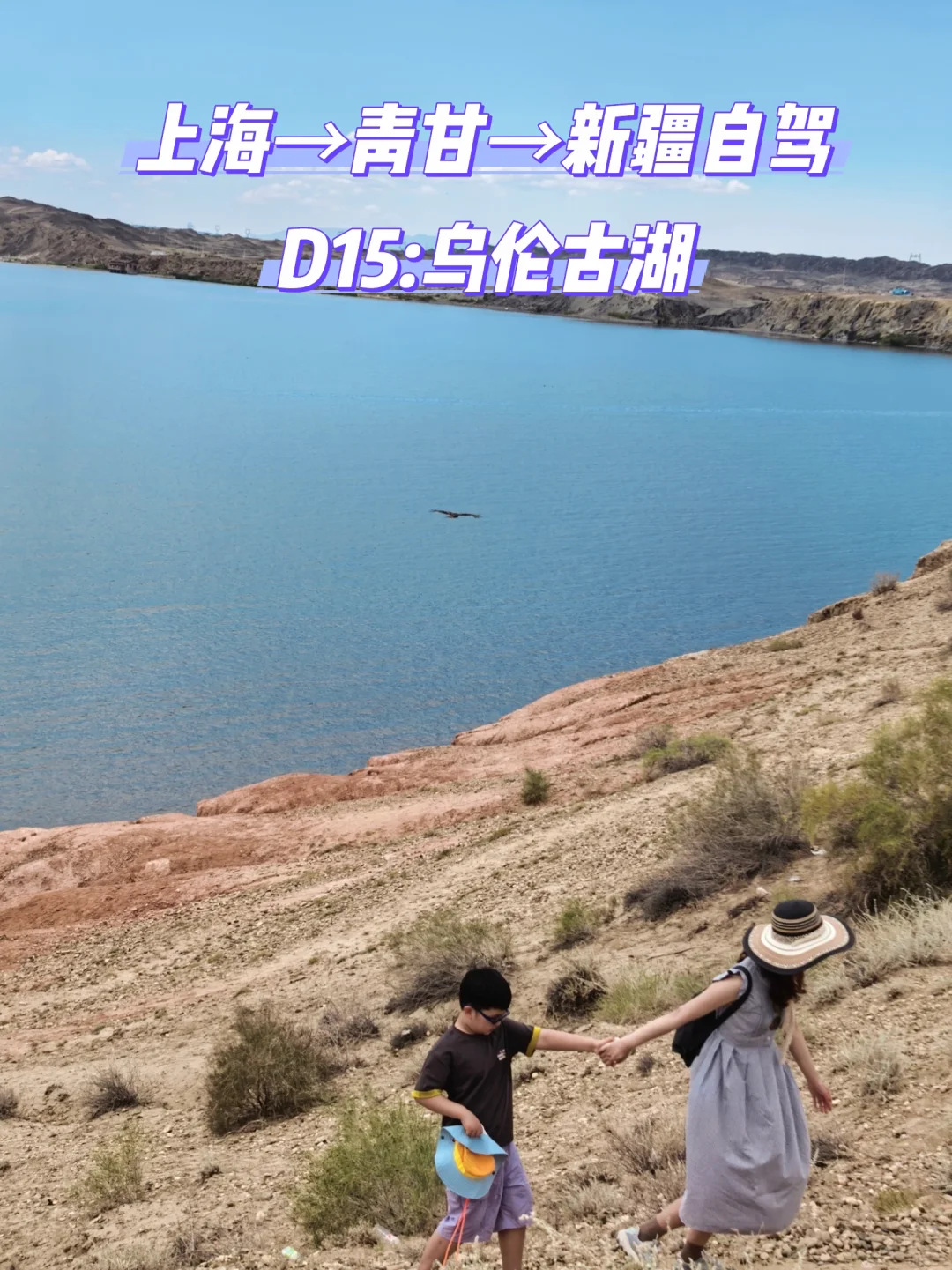 上海→青甘→新疆自驾D15:乌伦古湖