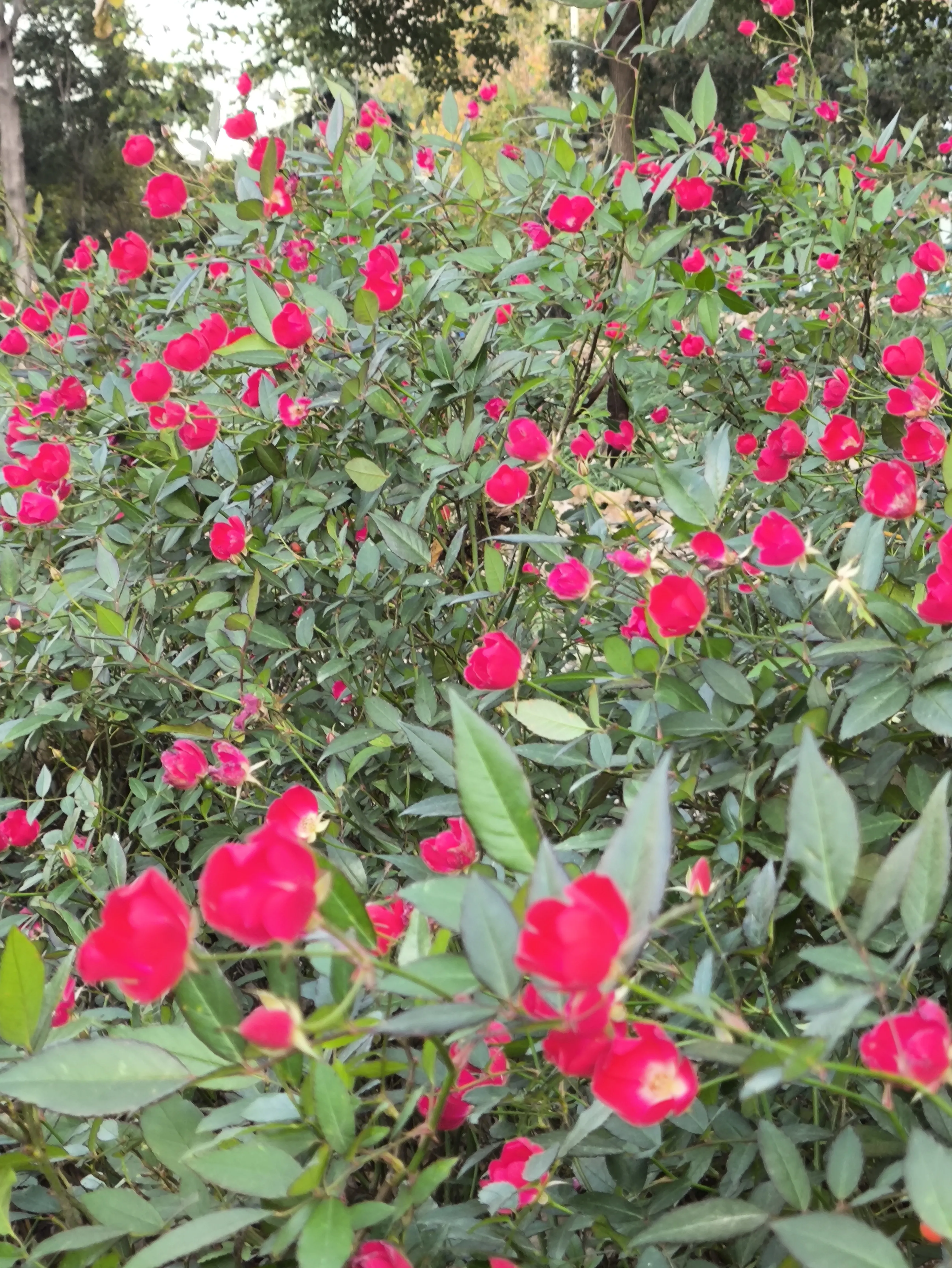 女人真正的气质是什么？