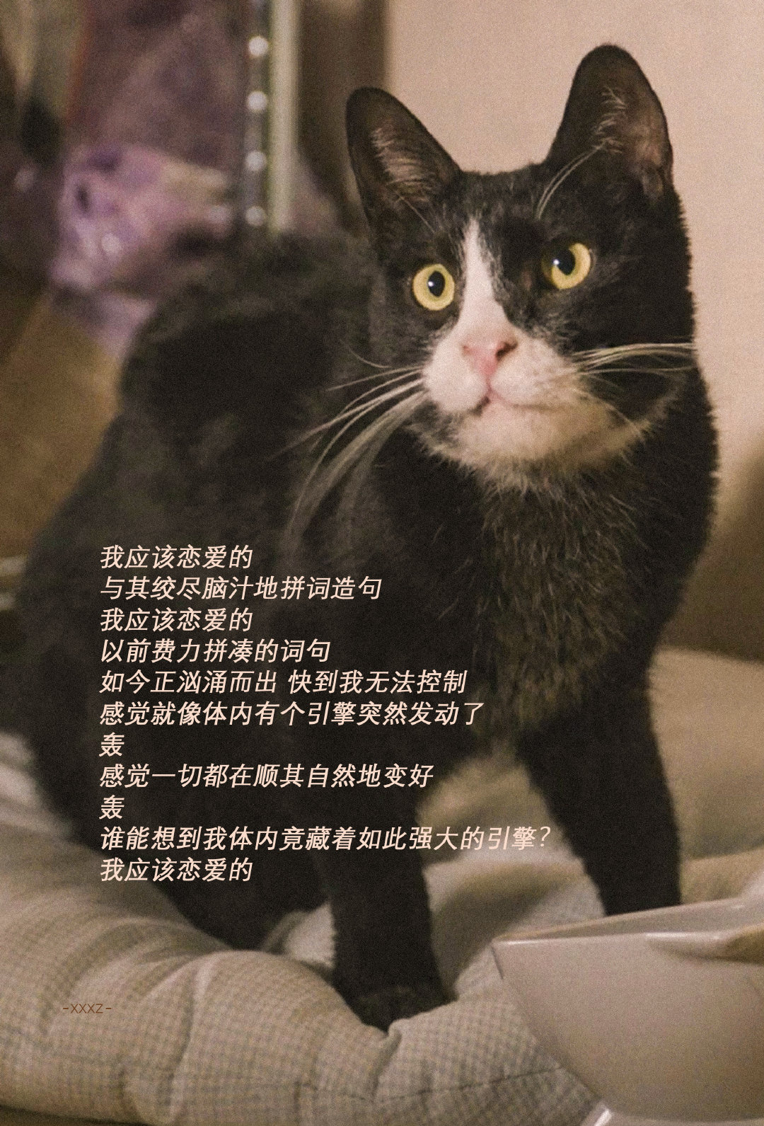 所有人都在与自己的无价值对抗｜모두가 자신의 무가치함과 싸우고 있다｜We Are All Trying Here
 
我该为你制造怎样的天气？
 
ep6台词分享 ​​​