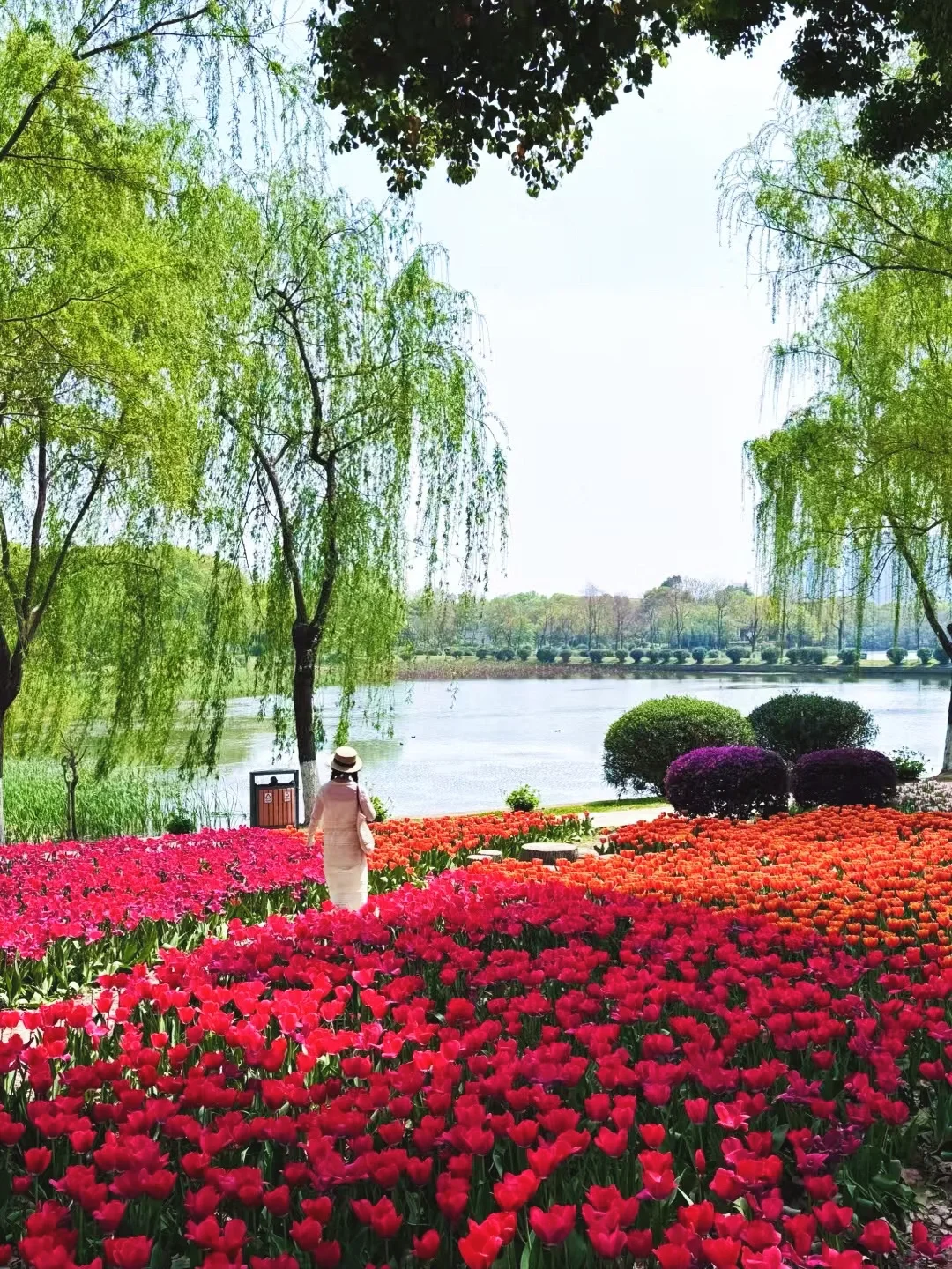 可惜你不来武汉，不知道武汉的春天多美‼️