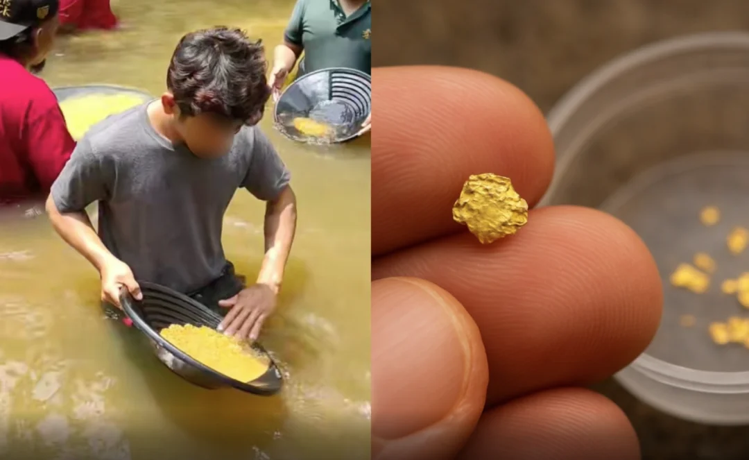 马来西亚一州向游客发许可证，允许淘金