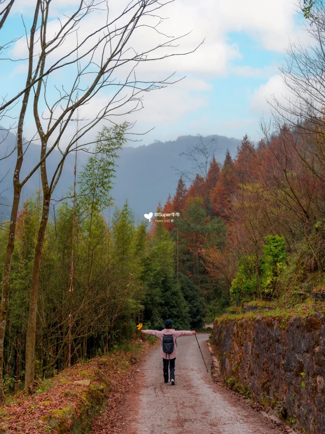 成都1日往返❗️野生徒步地🍁赏金秋彩林冲👏