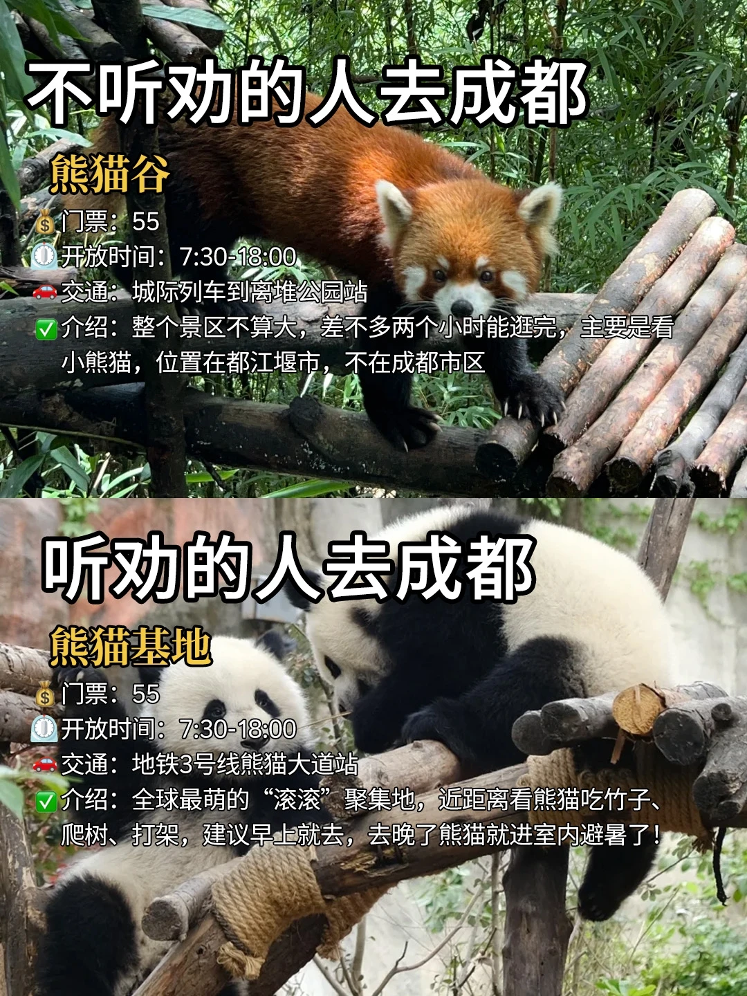 旅游旺季去成都的必看‼️听劝🆚不听劝...