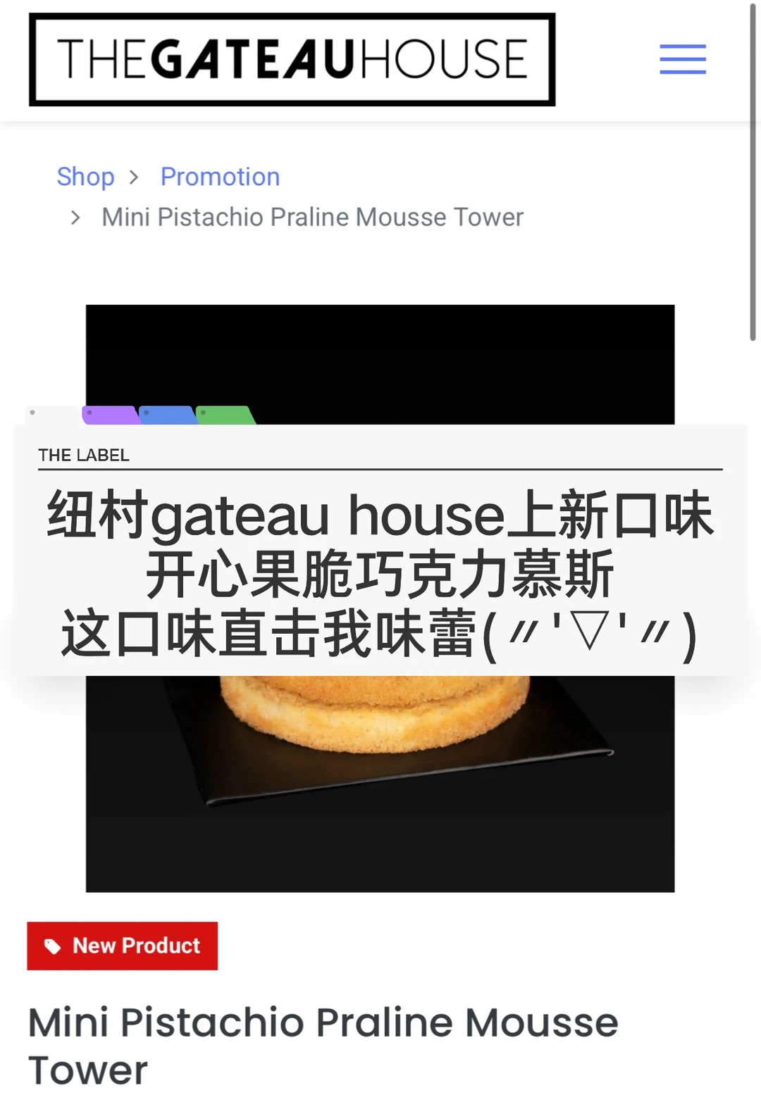 🇳🇿纽村GH甜品店上新 开心果脆巧克力慕斯