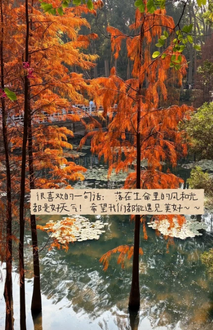 在圆圆的世界里 有棱有角的生活