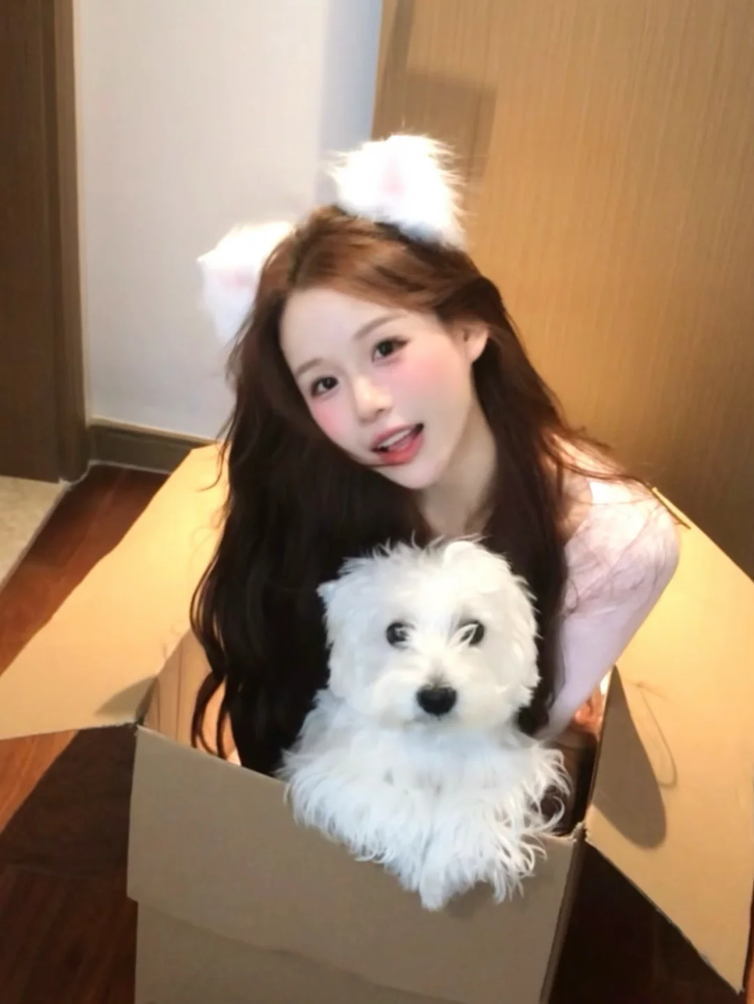喵 📦快递到了～