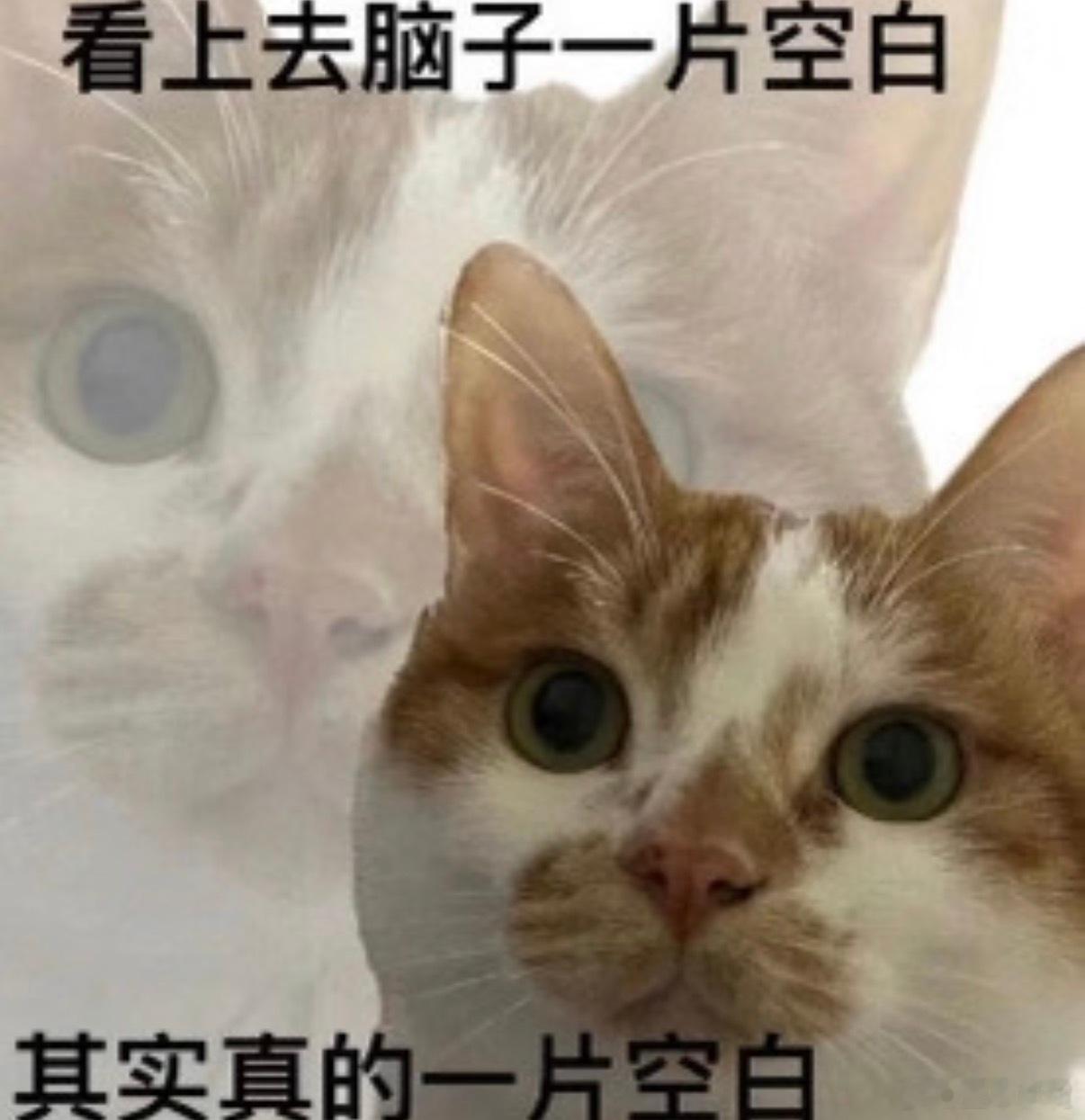 丑爹每个月取生活费，拿给我，让我转交给婆婆。昨天取了一万给我，我没数没看，转交给婆婆了。婆婆以为是我的钱，昨天反复告诉丑爹，说我给她拿了一万块钱。婆婆私下和丑爹说：“还以为她只拿了几千，用了之后，数了一下发现拿了一万。”我惊叹：“我也以为你只给了几千，没想到有一万啊！”丑爹咆哮：“我真服了你俩了，我的钱，那是我的钱！！！我还要装作啥也不知道，告诉她是你赚的辛苦钱！拿了也就拿了，结果你俩都不数钱！！！！！我服了！”我：“其实不用搞这些婆媳关系也还行。”丑爹：“话是这么说，奶奶会开心些。”丑爹是真会来事儿，人情世故是他最擅长的。和丑爹的相处日记