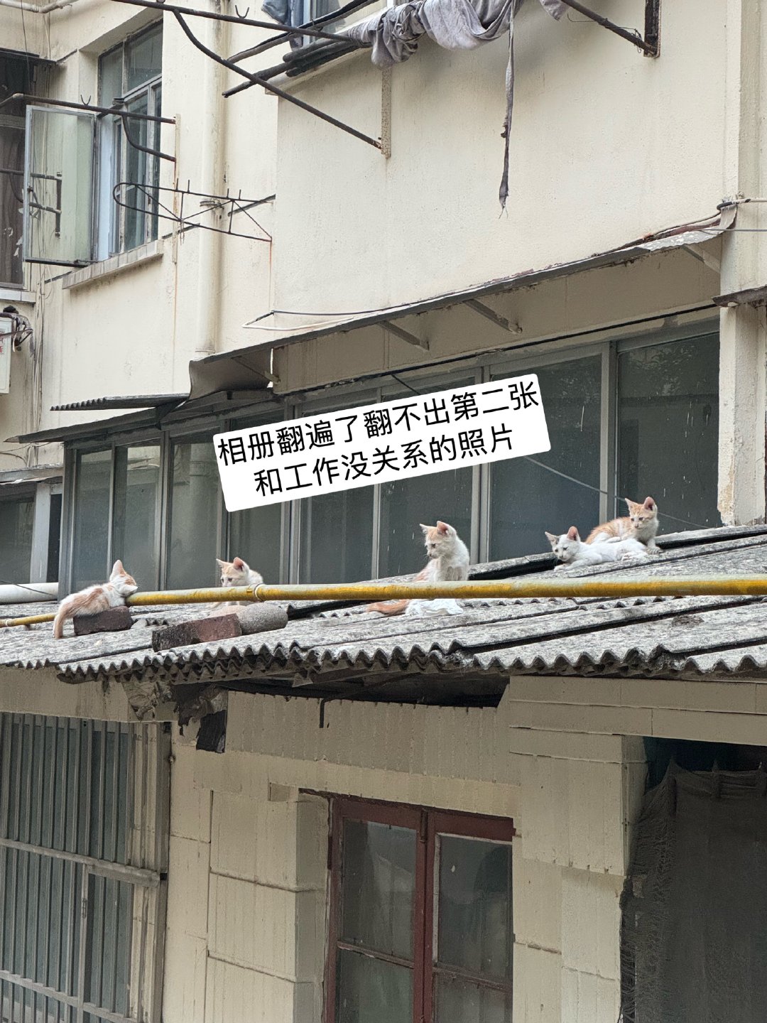 感觉已经没有自己的生活了 每天两点一线了 下班就是回家瘫着了 瘫着就是美团饿了么游戏抖音了 时不时还要加个班了 相册也没生活照了 好累 全方位的累 谁救一下 ​