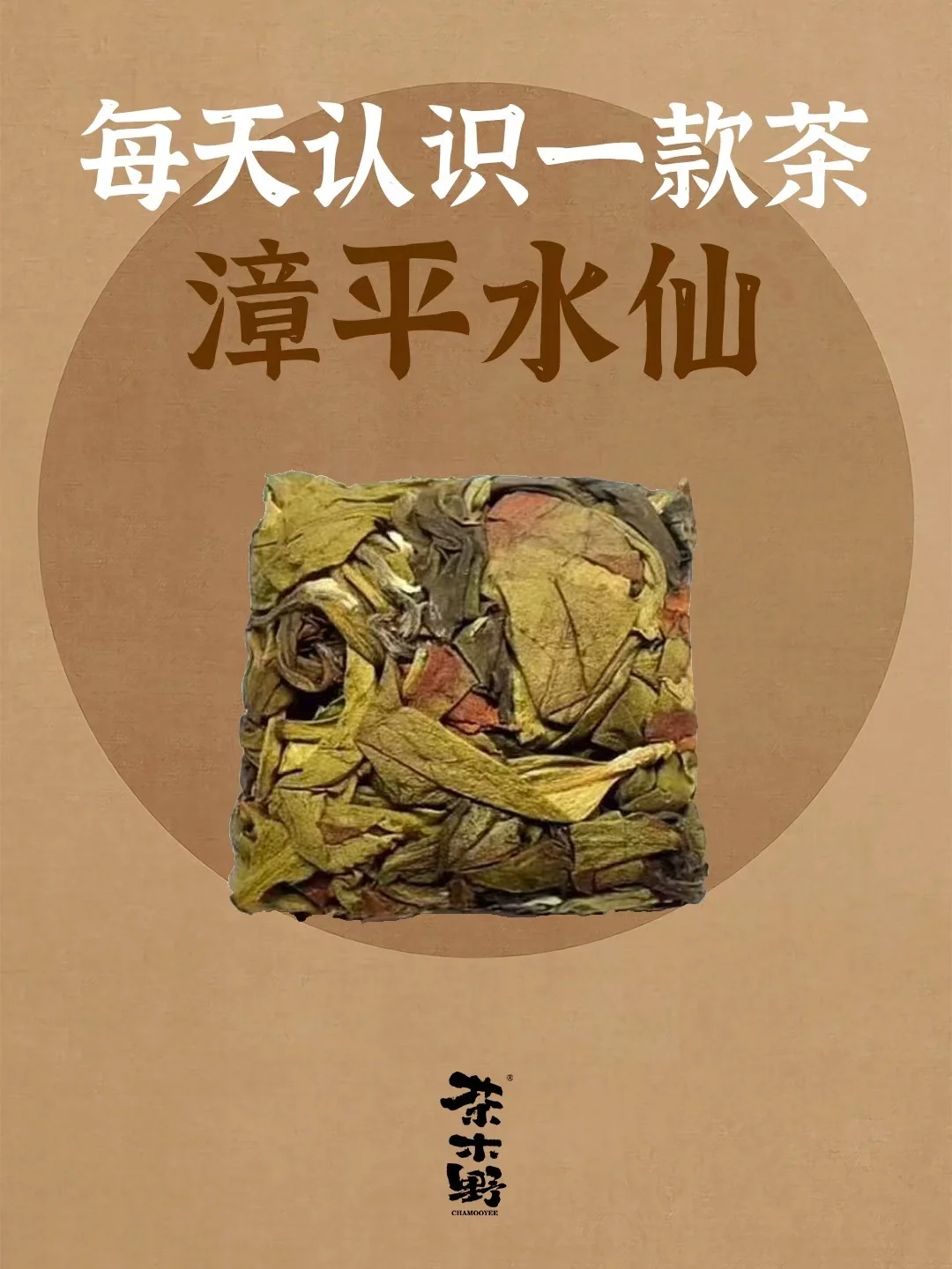 知识分享丨一分钟了解漳平水仙