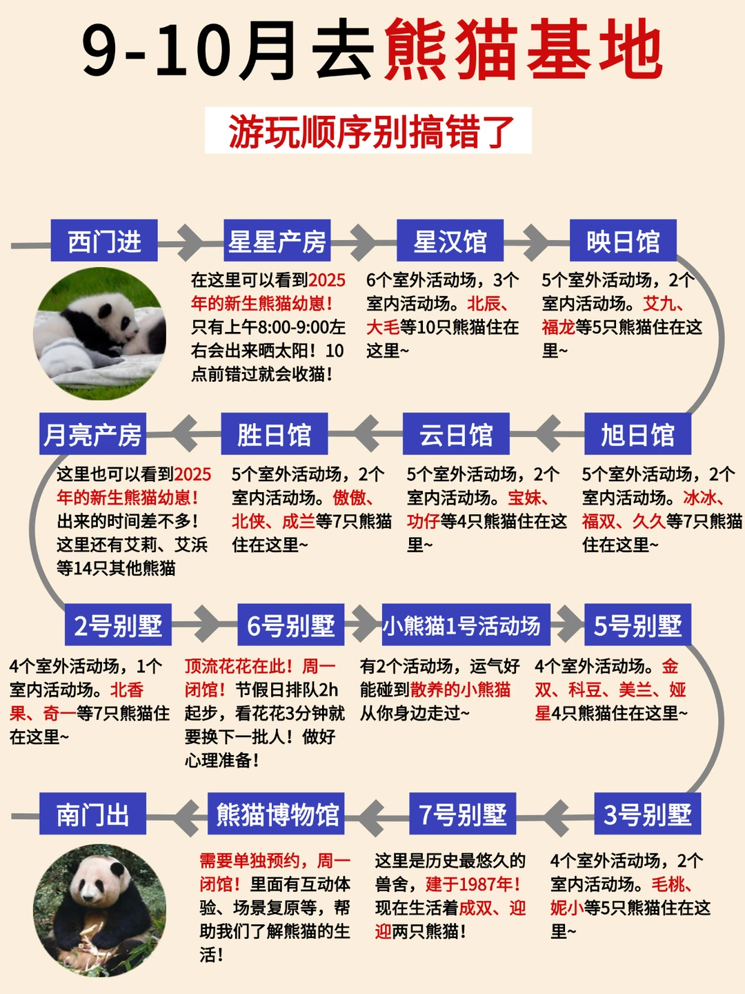 9-10月去熊猫基地千万不要南门进！！