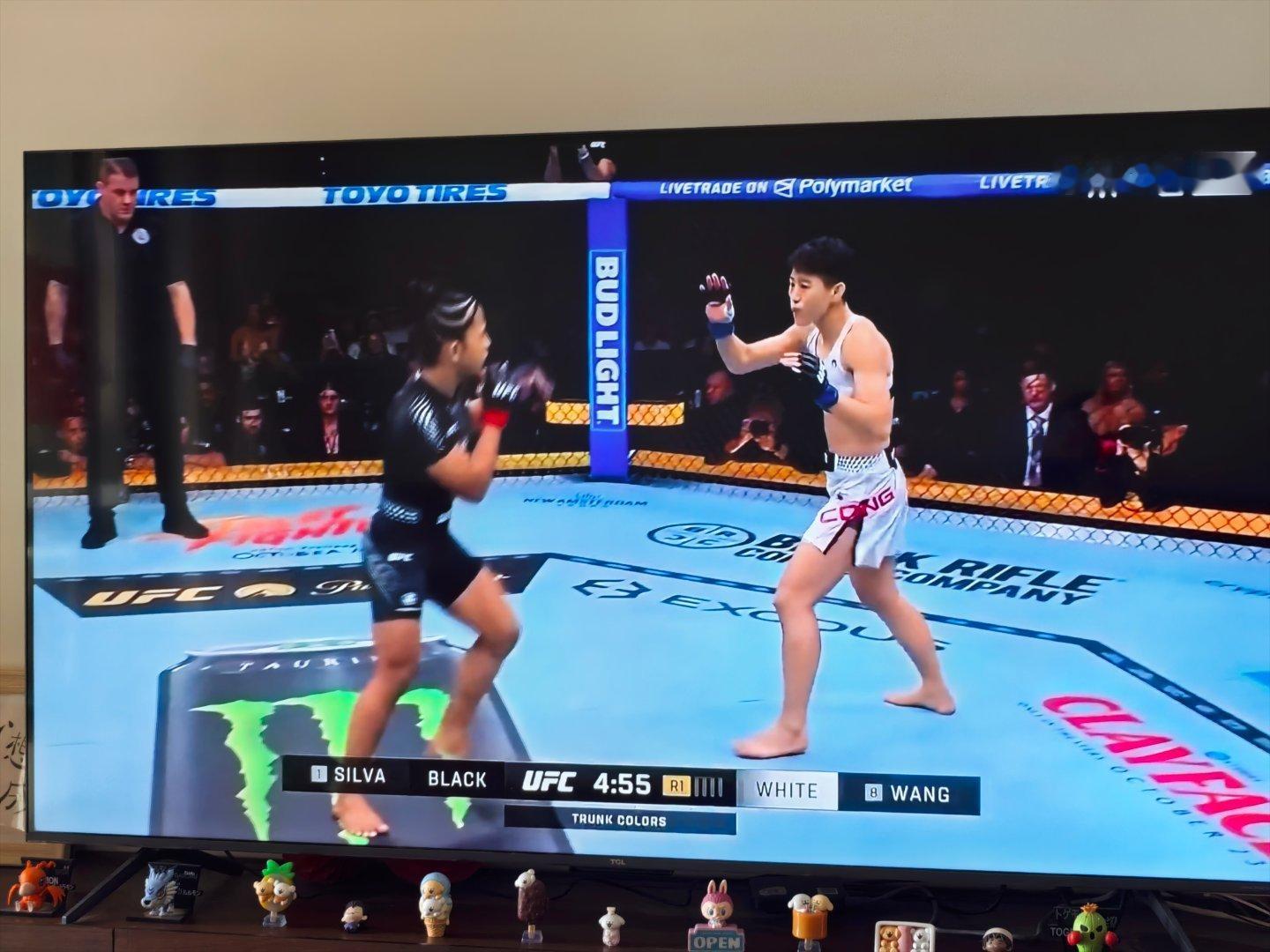 NO.230 上午看UFC，王聪实力真不比席尔瓦差。下午去顺德找鱼吃。 ​
