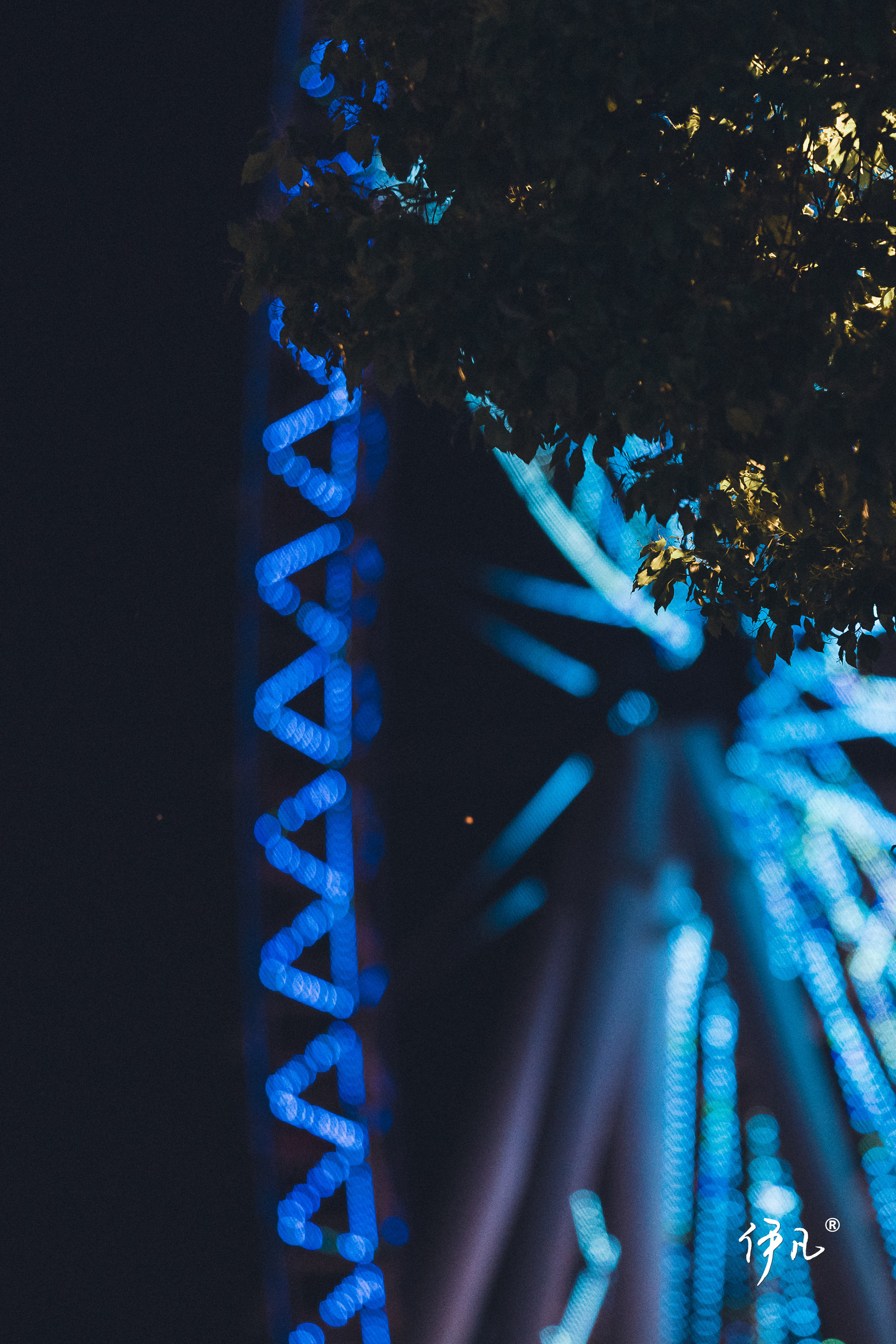 夜