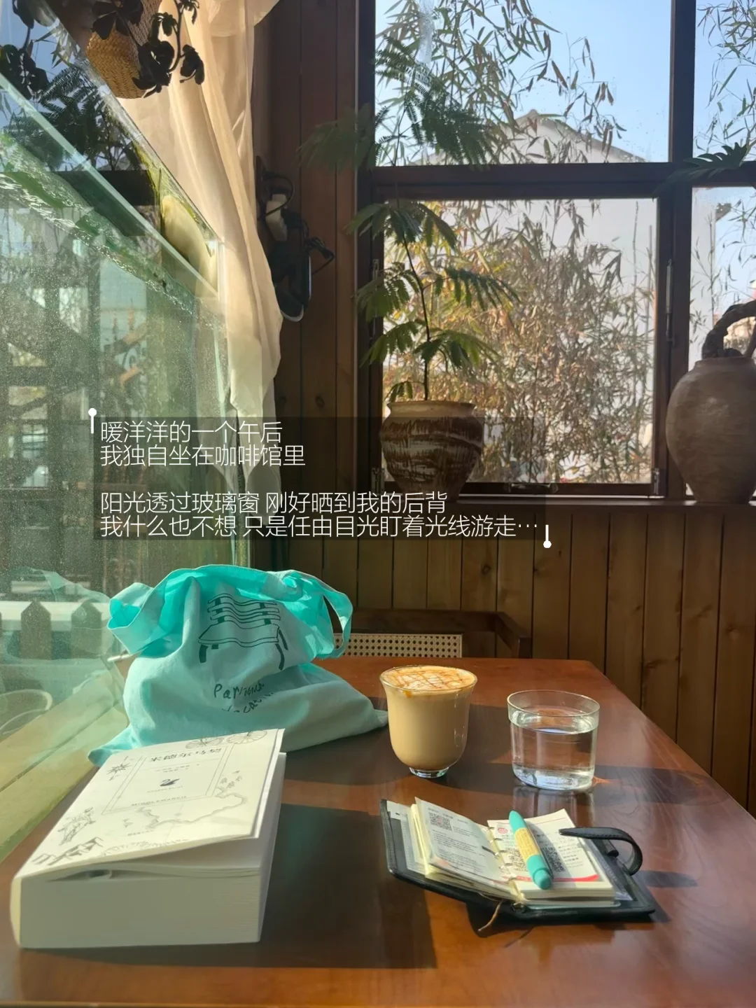 晒太阳 散步 喝咖啡 ，被微小的事物点亮