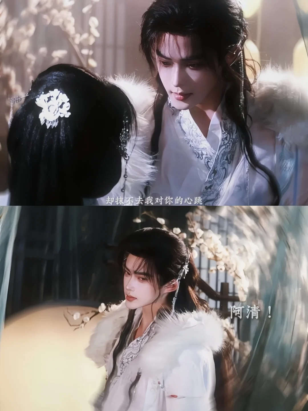 都给我去看‼️大女主权谋‼️悬疑探案‼️鲨疯了