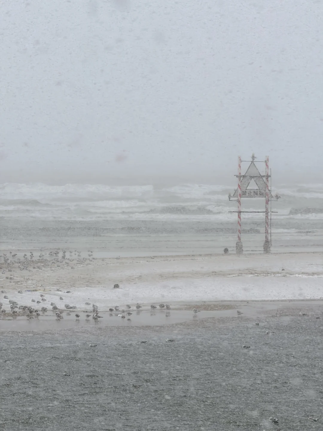 烟台12.25号宁古塔分部实况（很奇幻）