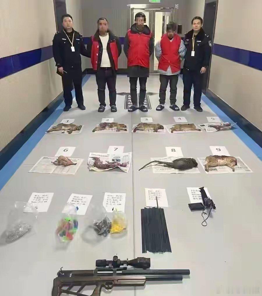 停于30至50米高空，通过电控投放三棱尖刺金属箭……你用来航拍的无人机，竟被改成狩猎凶器！湖北公安揭开非法狩猎新套路 ​
