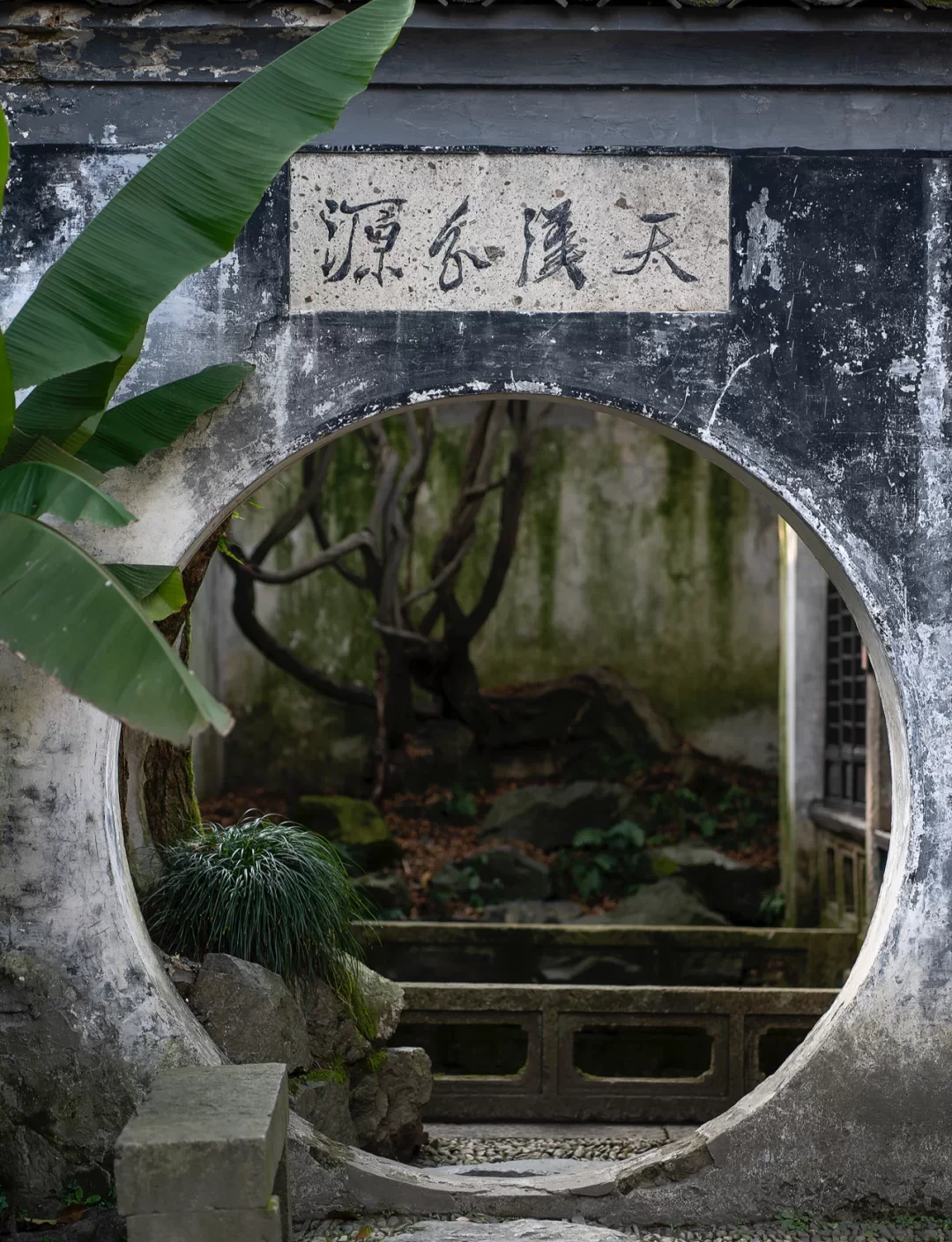 青藤书屋：仅478平，却困不住徐渭的狂