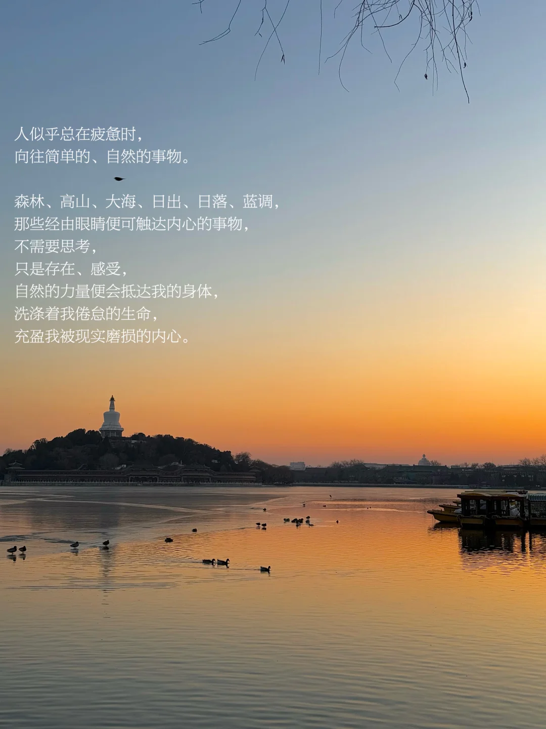 人在疲惫时，总是向往自然的事物