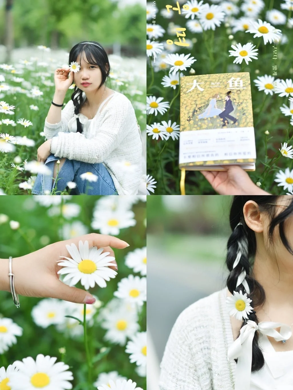 武汉拍照/期待初夏盛开的小雏菊花海❗️