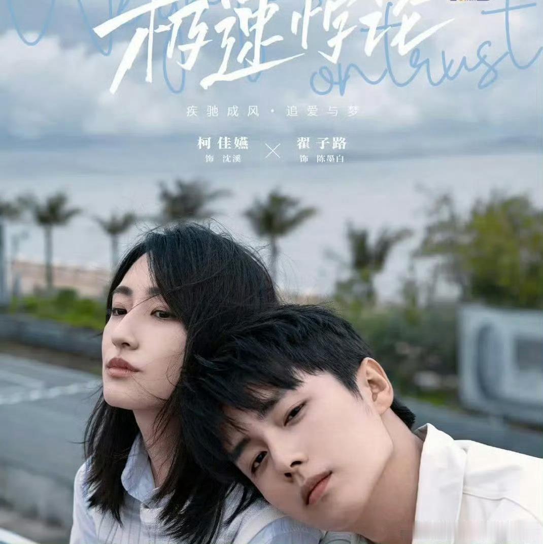 极速悖论 全22集 
柯佳嬿、翟子路、李铢衔
夸克：
百度： 

改编自焦糖冬瓜同名小说，国内首部聚焦方程式赛车的都市竞技剧。空气动力学工程师沈溪与天才赛车手陈墨白因一次试车事故被迫绑定，从互相看不上到并肩作战，一个负责把速度算到极致，一个负责把极 ​