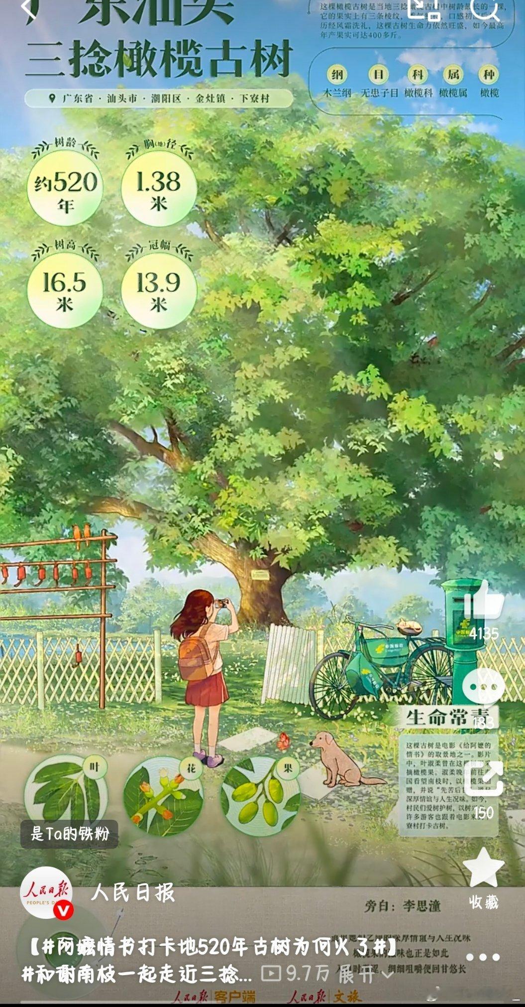 河南科技职业大学 【 在广东汕头，有一棵树龄约520年、生命力旺盛的三...