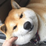 晨冰笑谈小姐姐